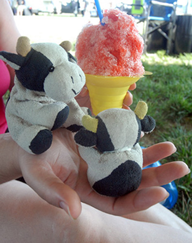 hawaiian_ice_sm