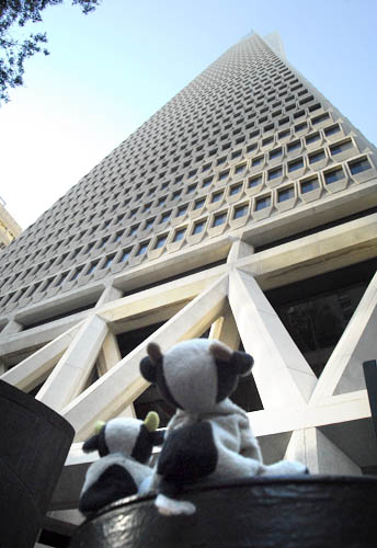 transamerica
